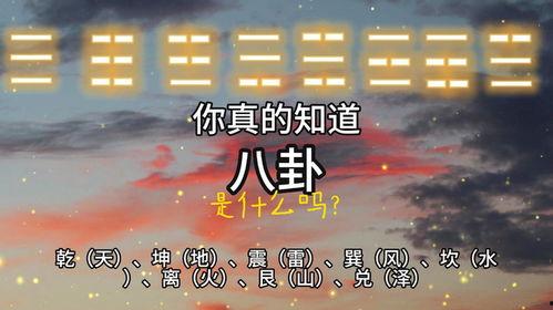 天涯八卦是真的,真相与谣言的交织